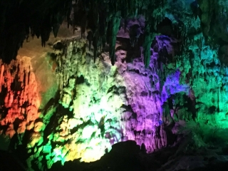 t_2018-07-01 10.17.44.jpg